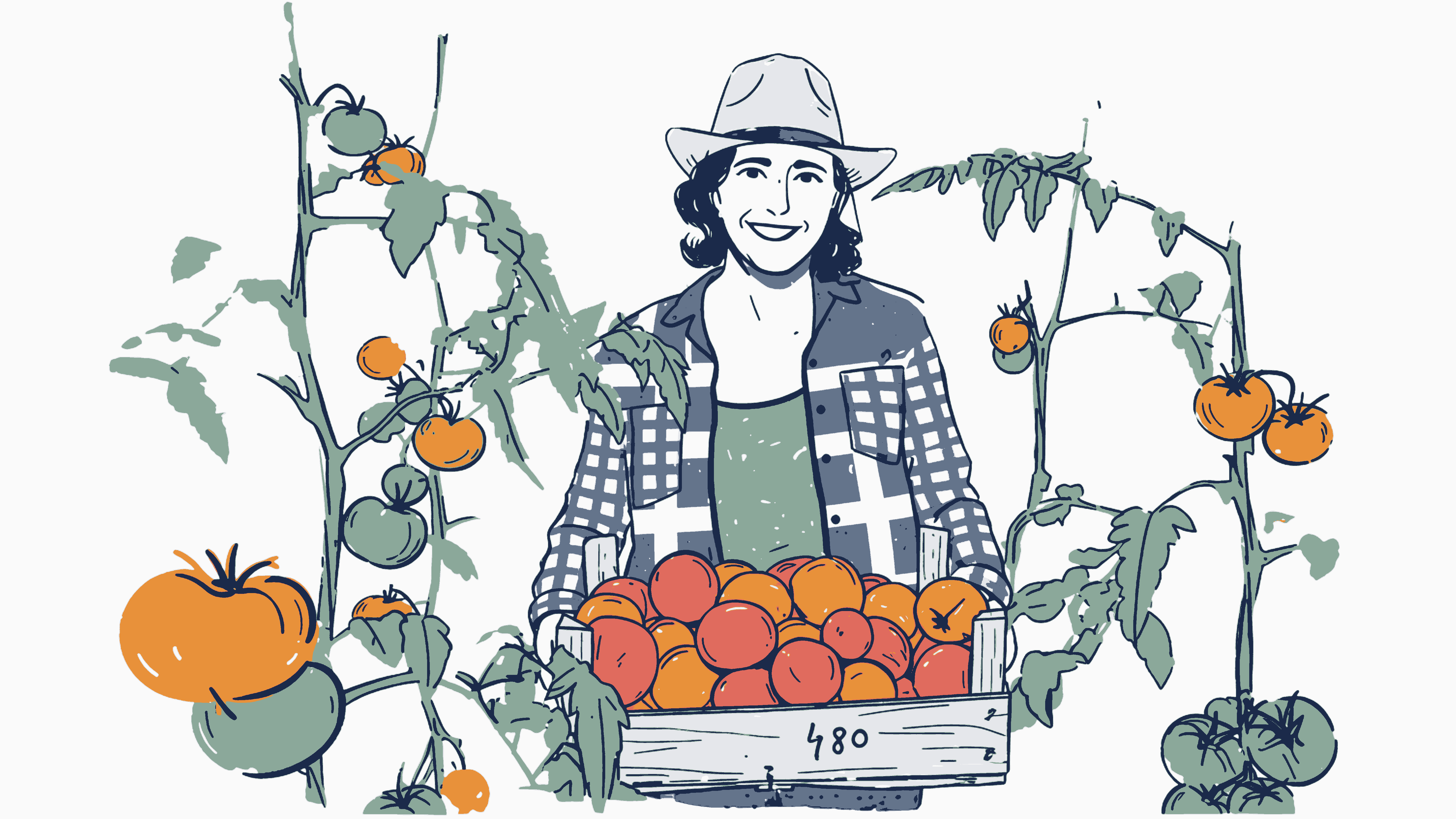 Tomato farmer