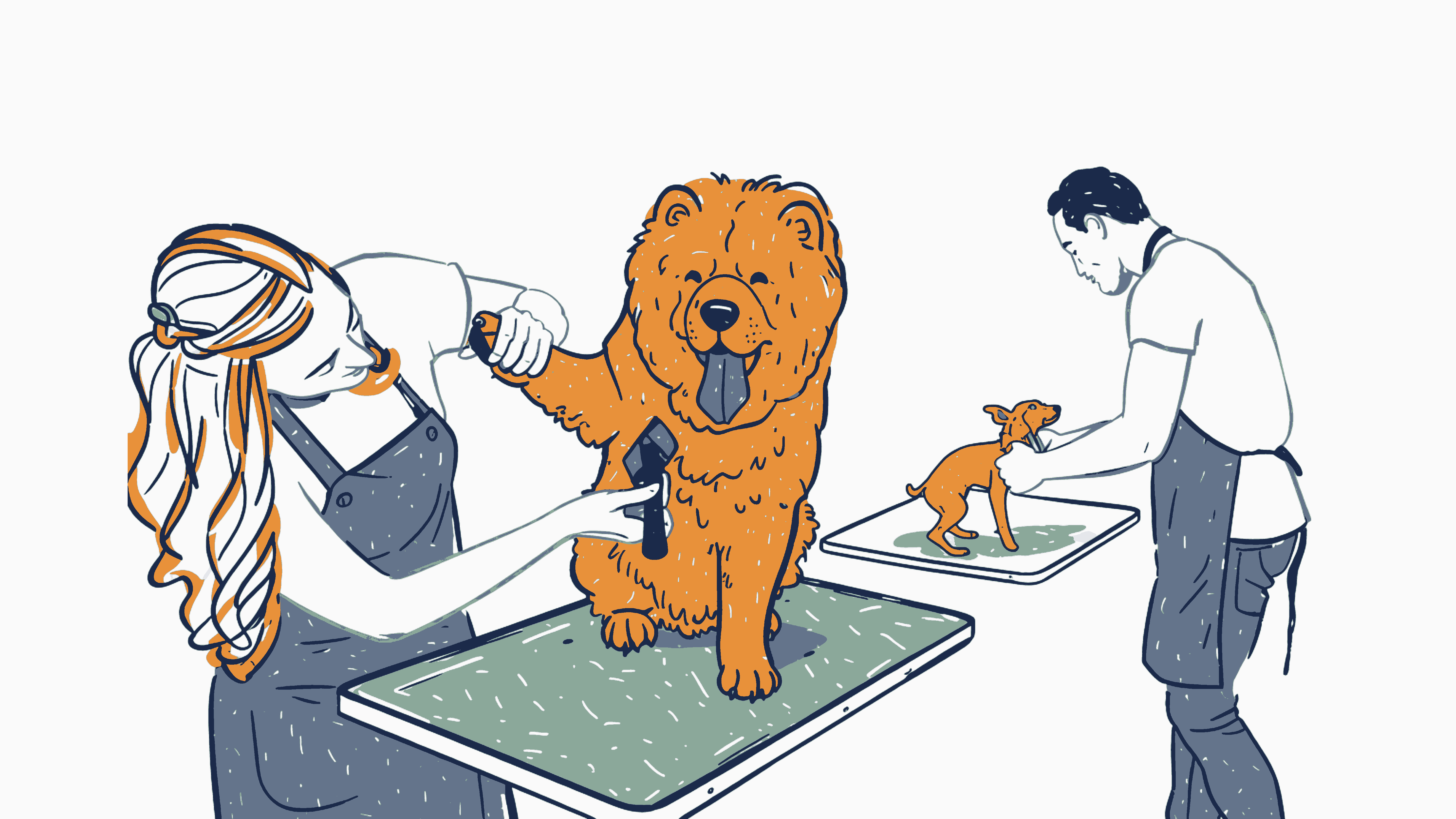 Dog groomers