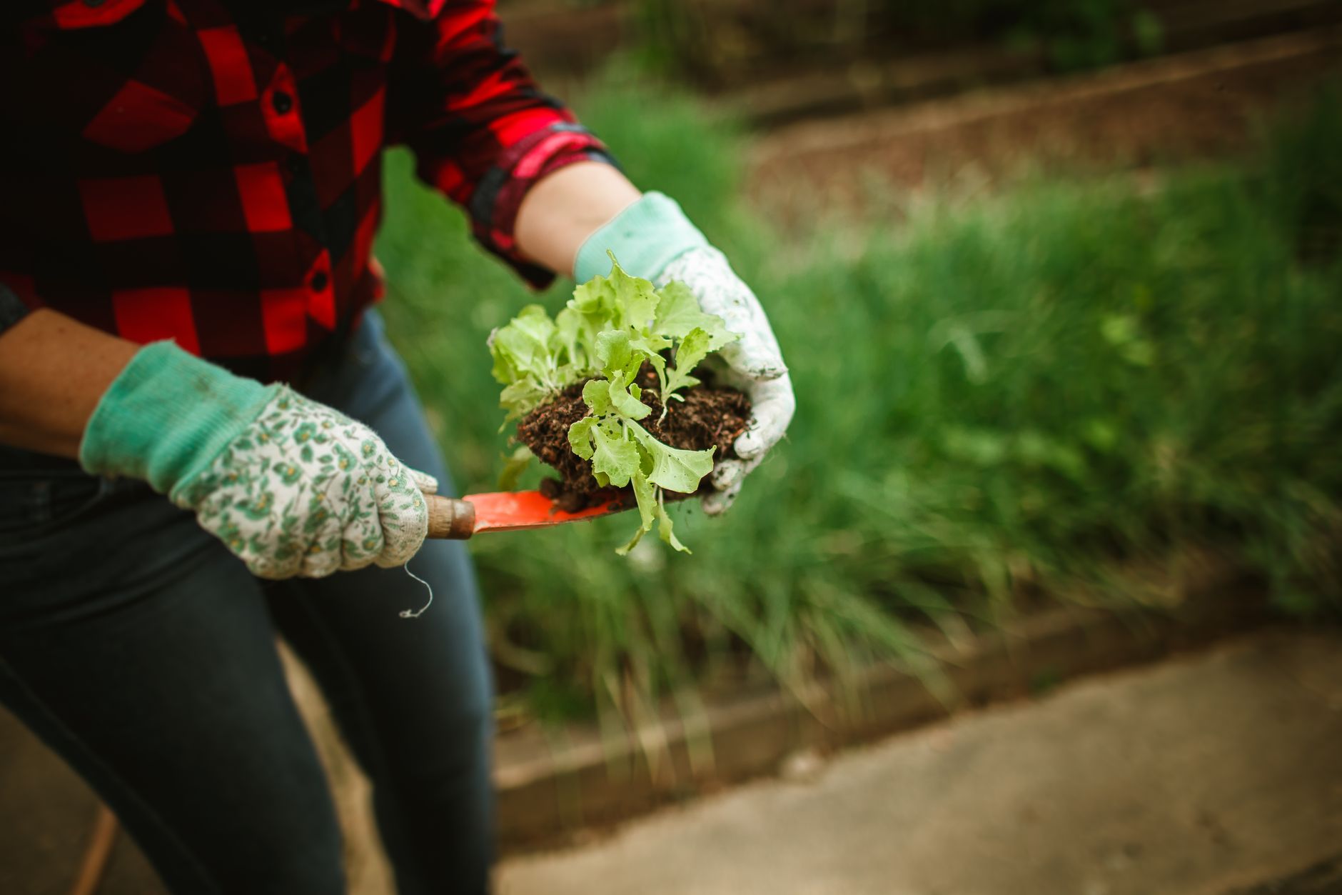 A gardener at work with their own tools, running a low cost service business