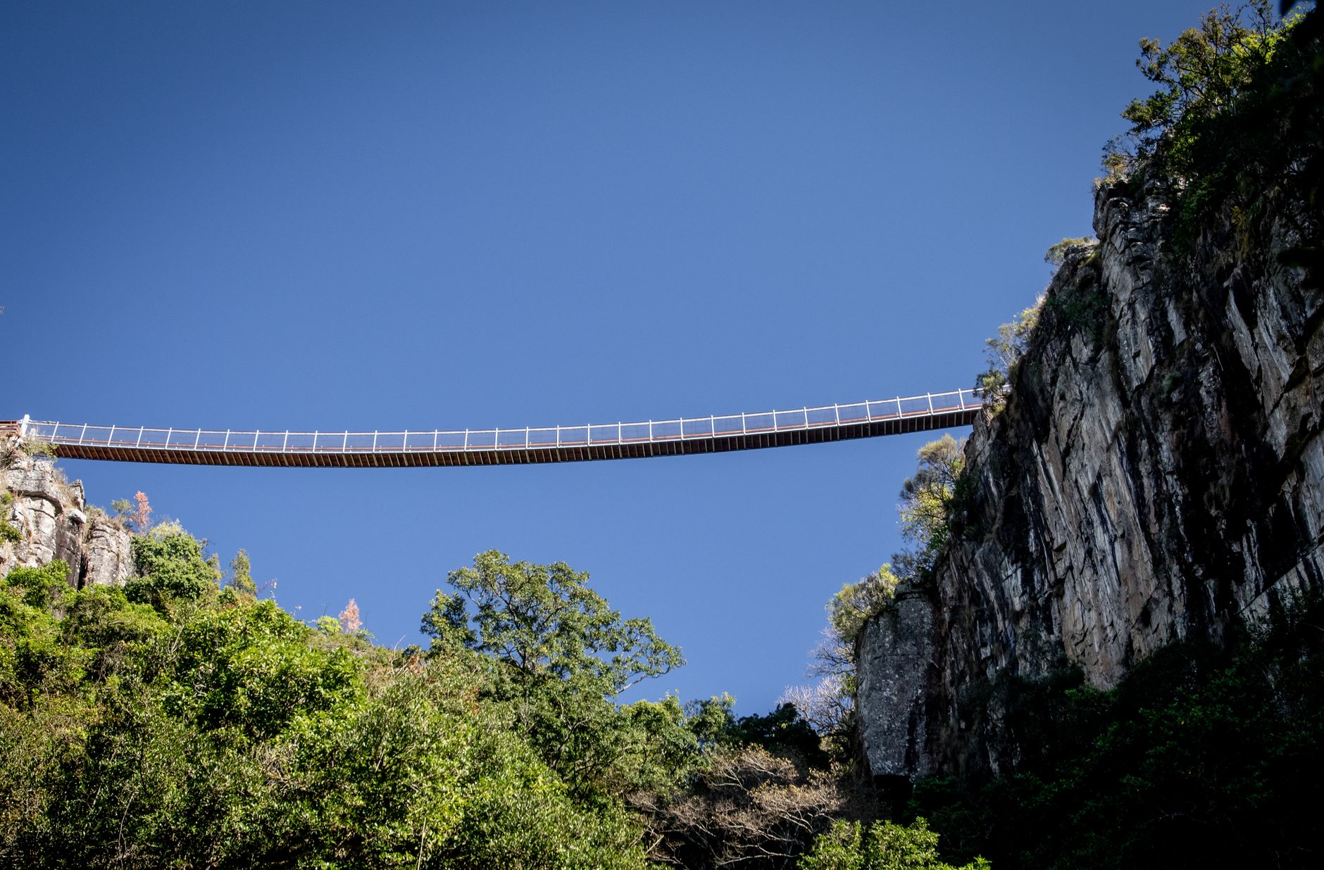 A footbridge spans a gap between two grassy hilltops at dawn, illustrating the bridge a coach builds from where a client is now to where they want to be.