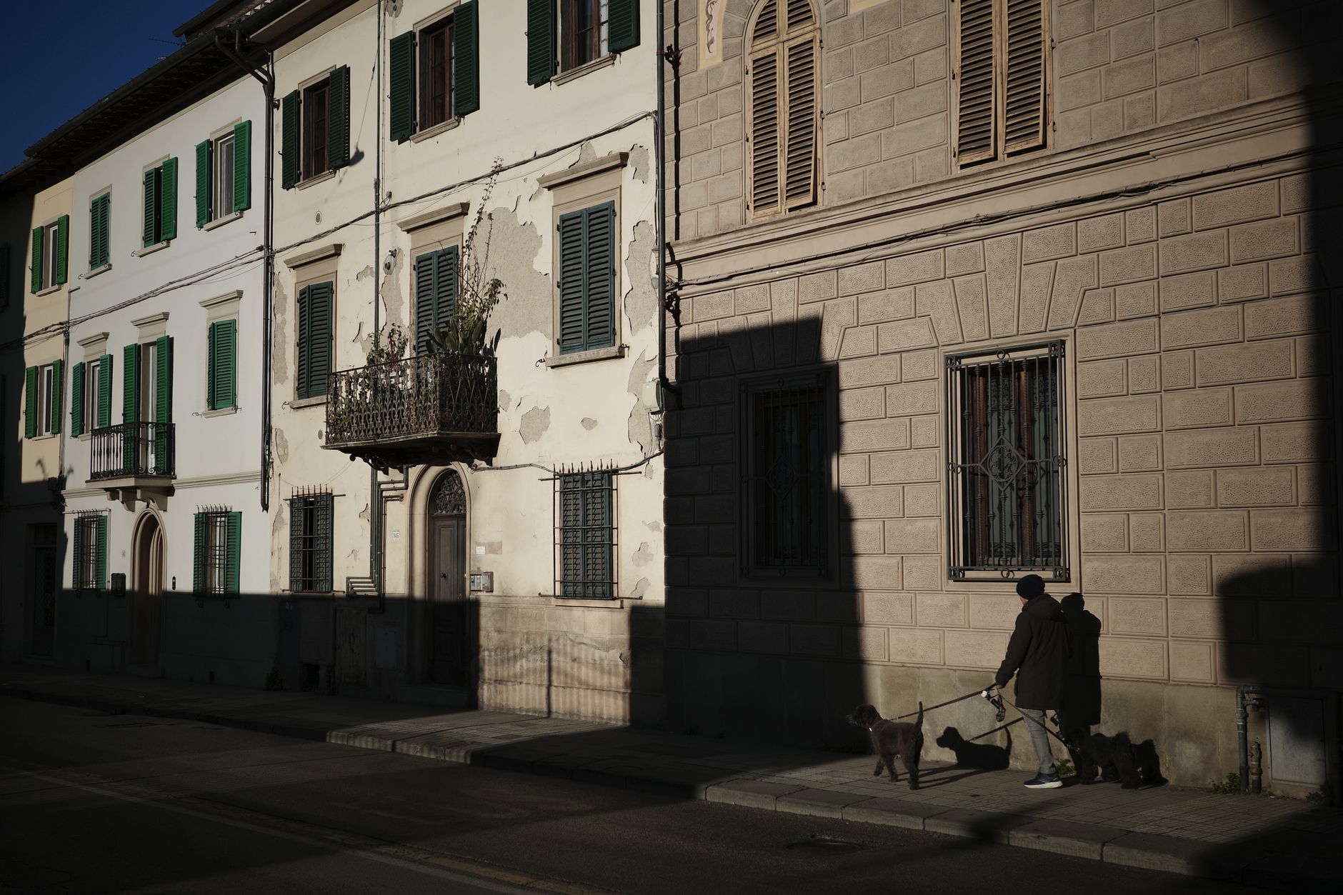 A dog walker with a dog on a lead standing outside a row of houses, lining up first clients
