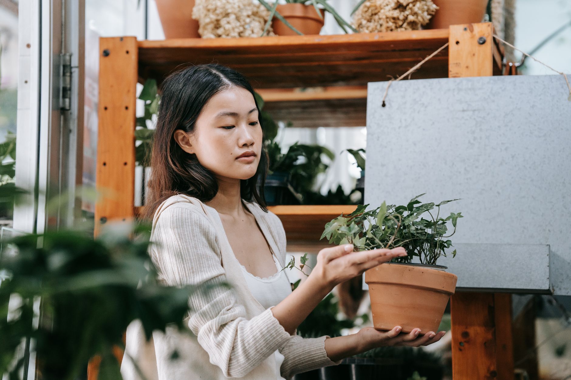 A business owner caring for something that takes time to grow