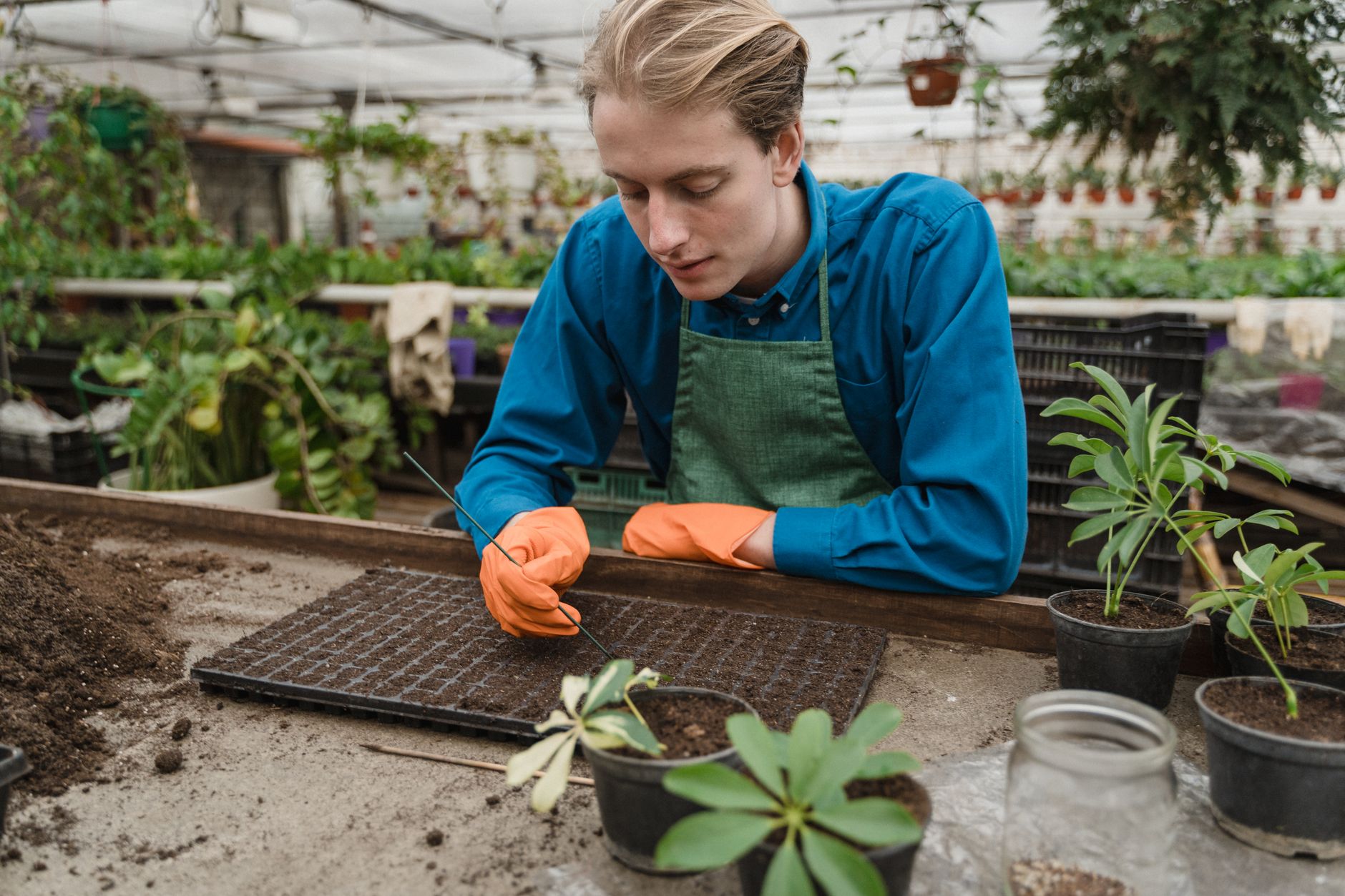 A garden centre worker preparing stock ahead of the Easter rush