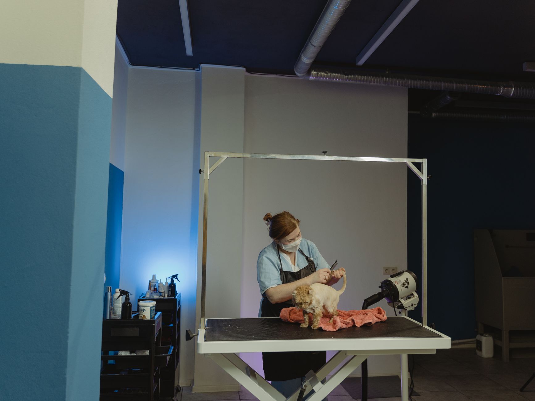 A dog groomer checking her booking diary between appointments