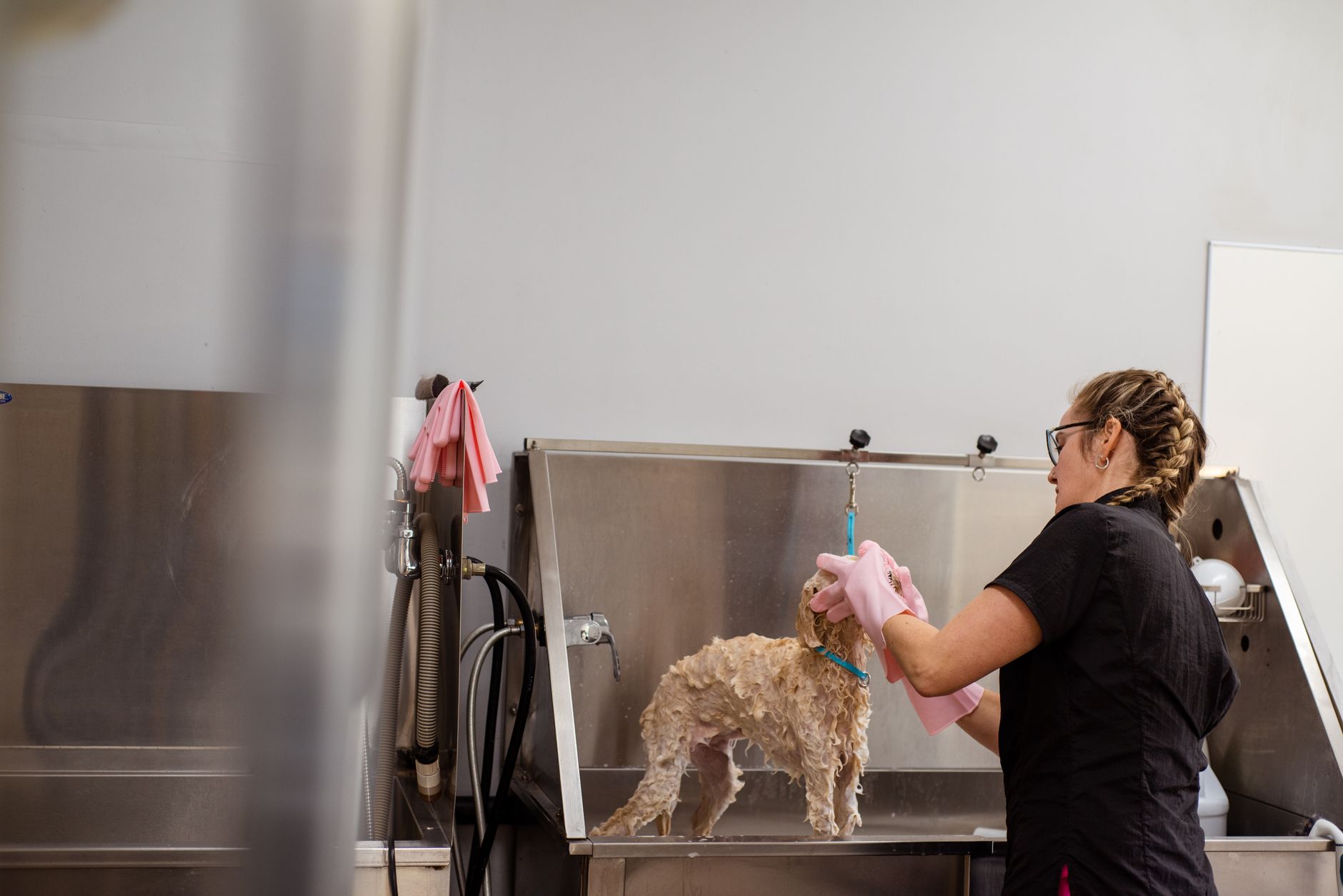 A satisfied client collecting her groomed dog at the salon door