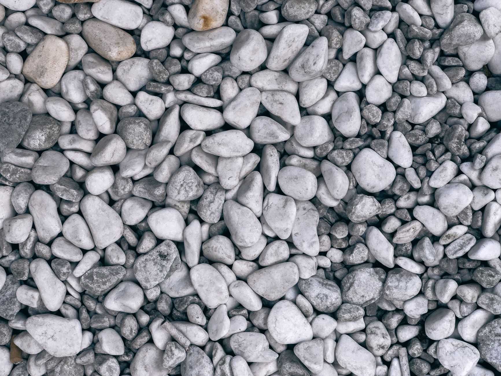 A landscaper completing a specialist low-maintenance gravel garden