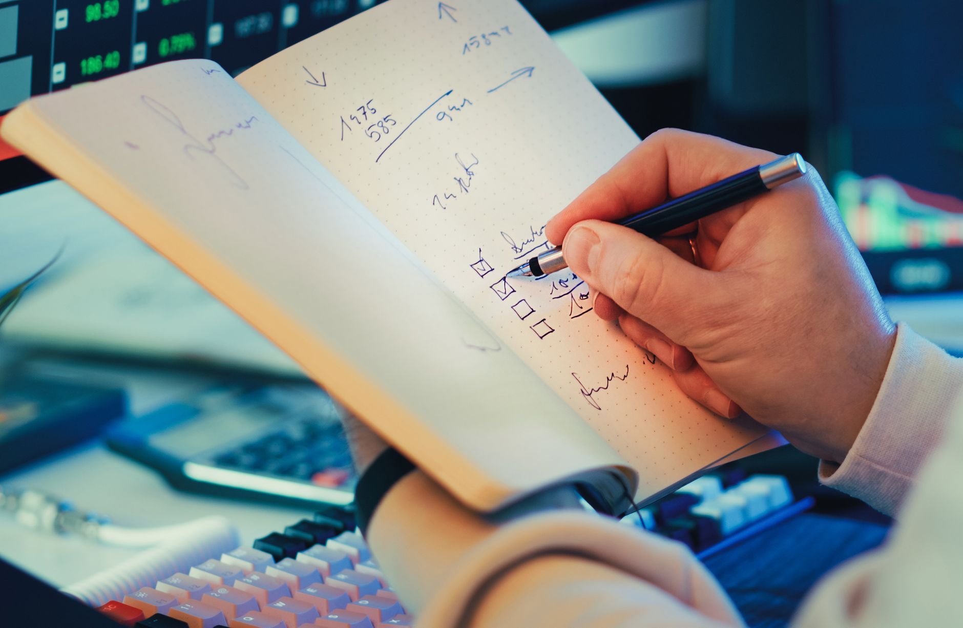 A course creator checking enrolment numbers against their marketing