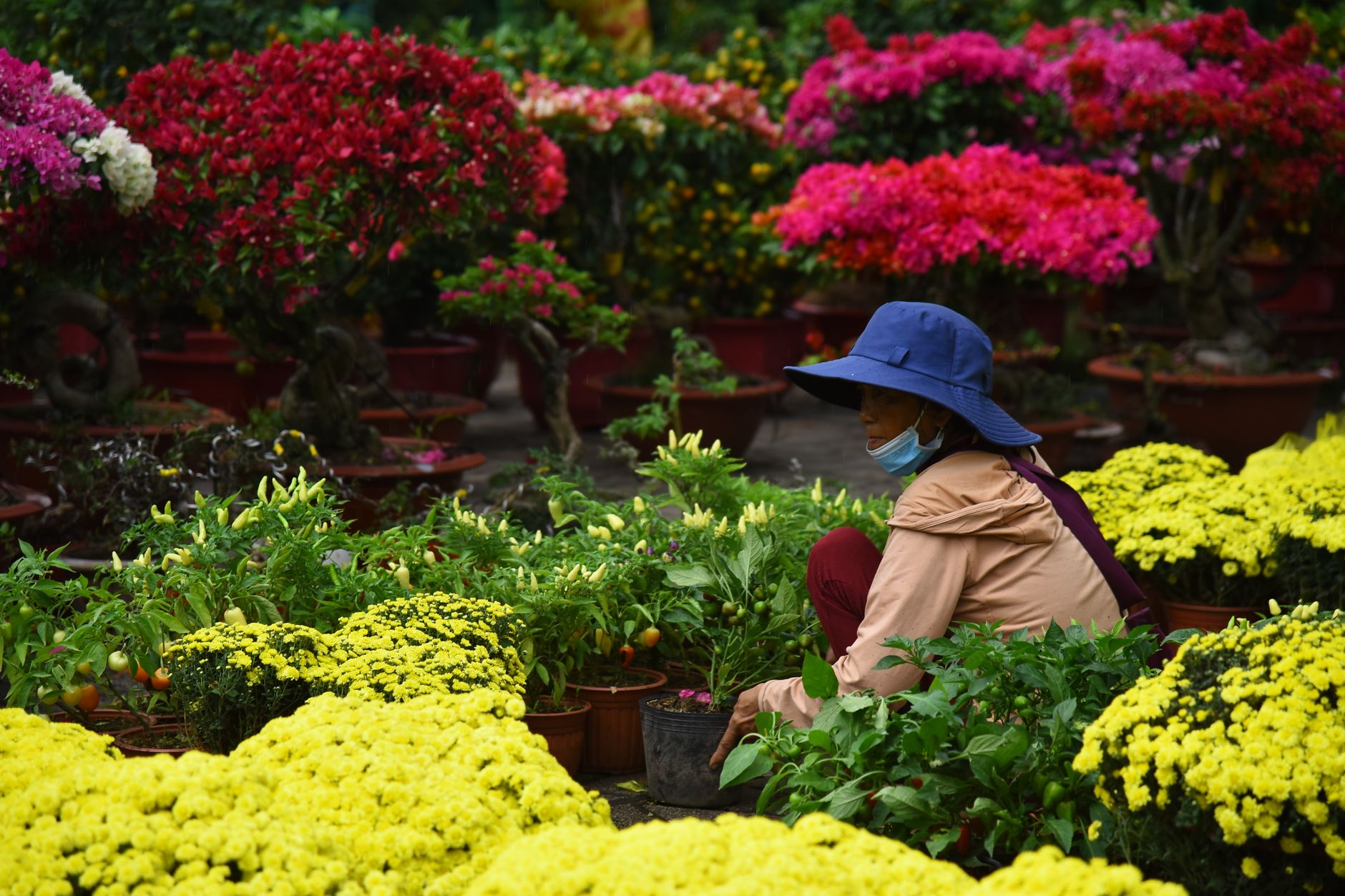A garden centre worker arranging a seasonal bundle display